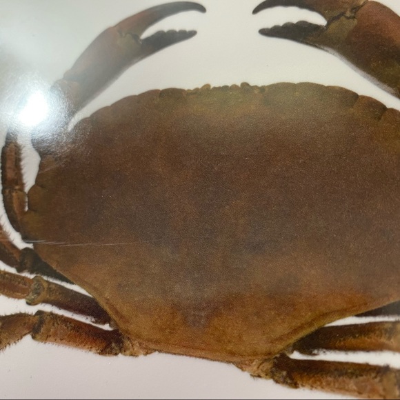 Shell fish melamine serving platters from ikea. Fun summer entertaining - Picture 4 of 5